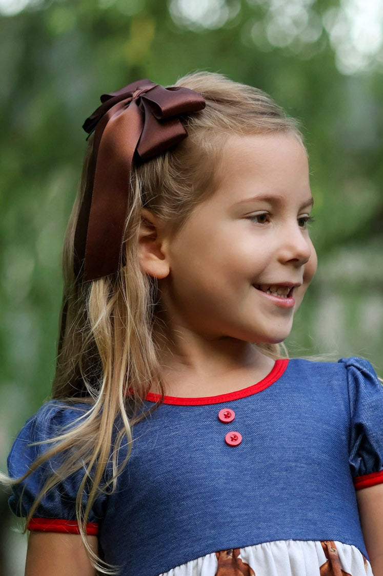 Brown Satin Bow