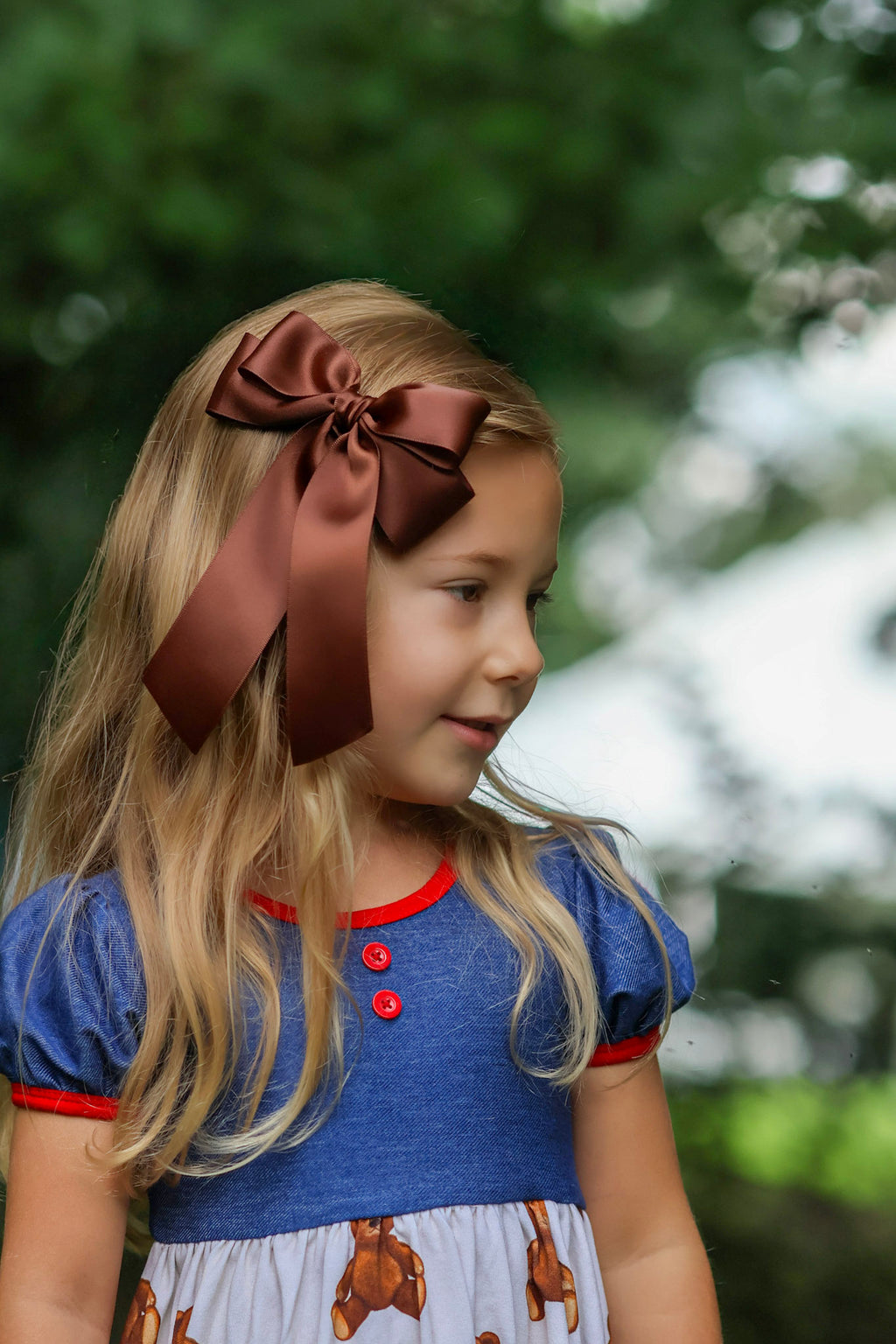 Brown Satin Bow