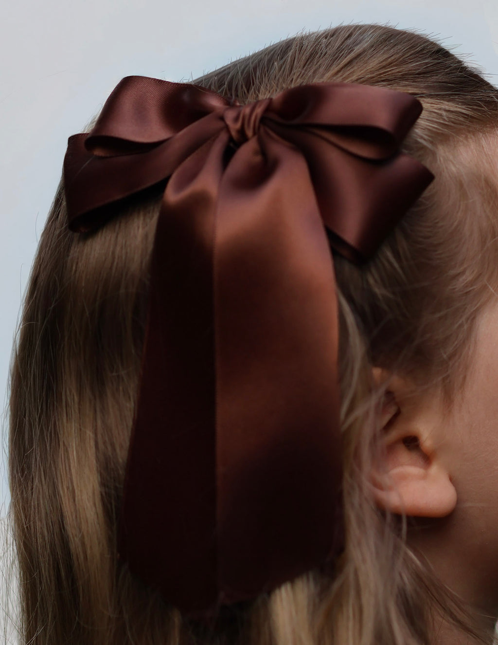 Brown Satin Bow