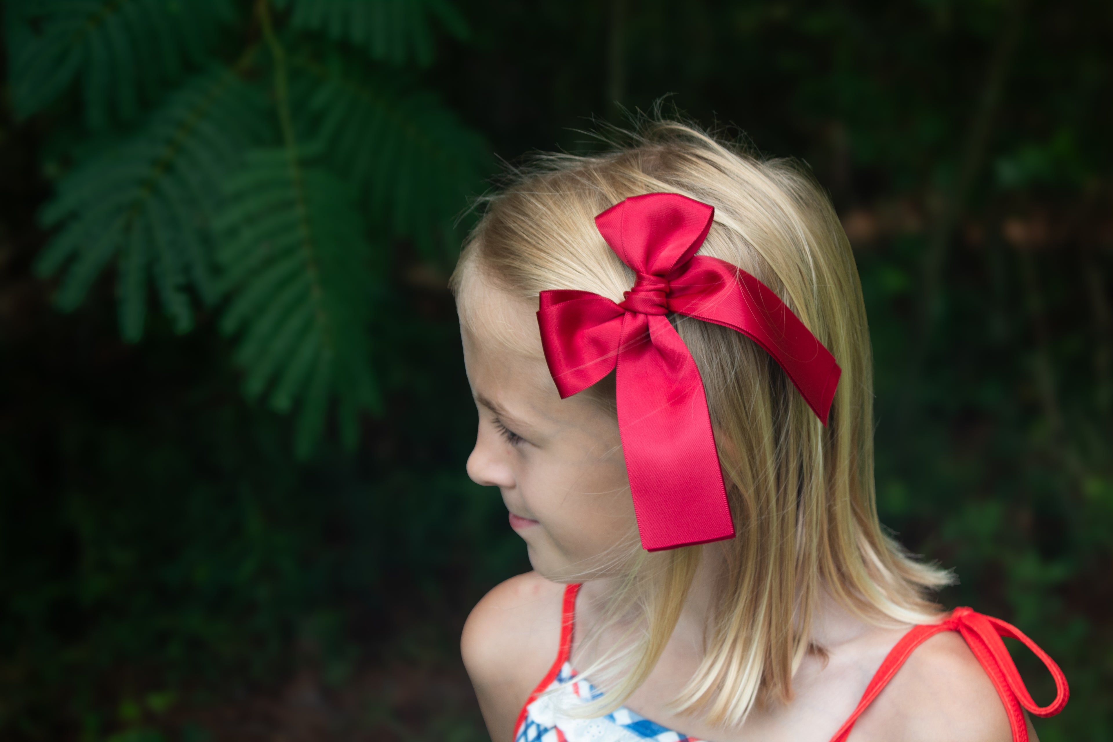 Double Ribbon Satins